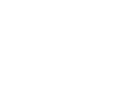 CZ 010 - ISO 17225-2